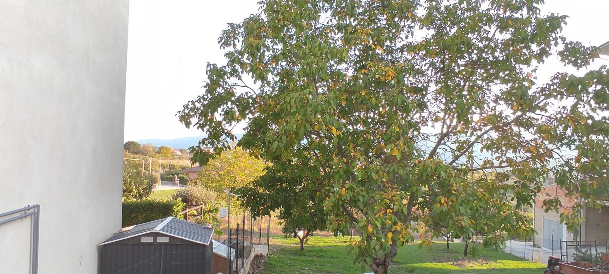 La Dimora Dei Sanniti Apartment Busso Bagian luar foto